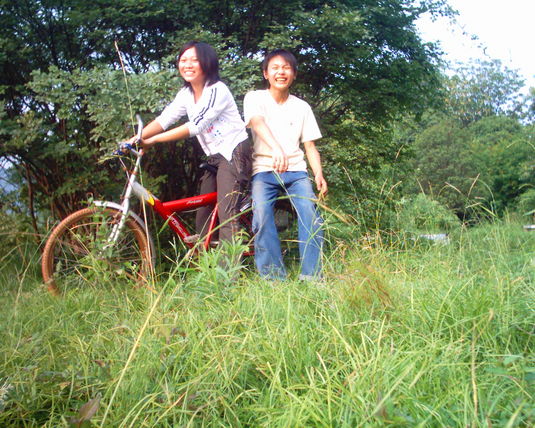 2006  (55)